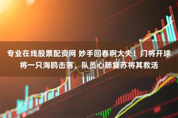 专业在线股票配资网 妙手回春啊大夫！门将开球将一只海鸥击落，队员心肺复苏将其救活