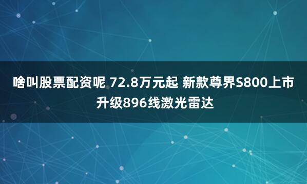 啥叫股票配资呢 72.8万元起 新款尊界S800上市 升级896线激光雷达